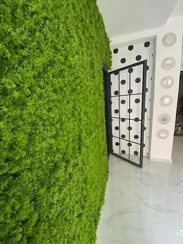 Suite 43 Terrasini